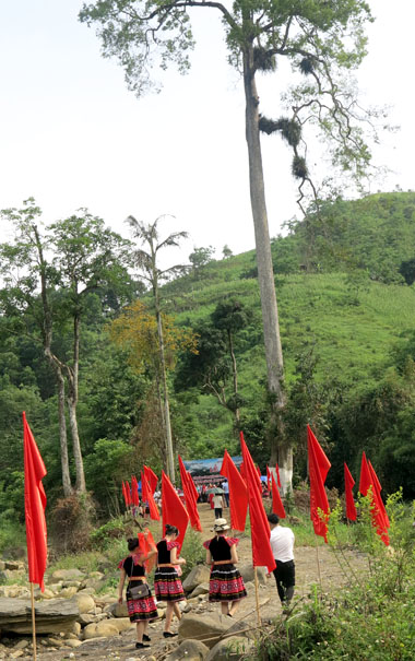 Cao[-]Bằng:[-]Đón[-]Bằng[-]công[-]nhận[-]Cây[-]di[-]sản[-]tại[-]huyện[-]Bảo[-]Lâm